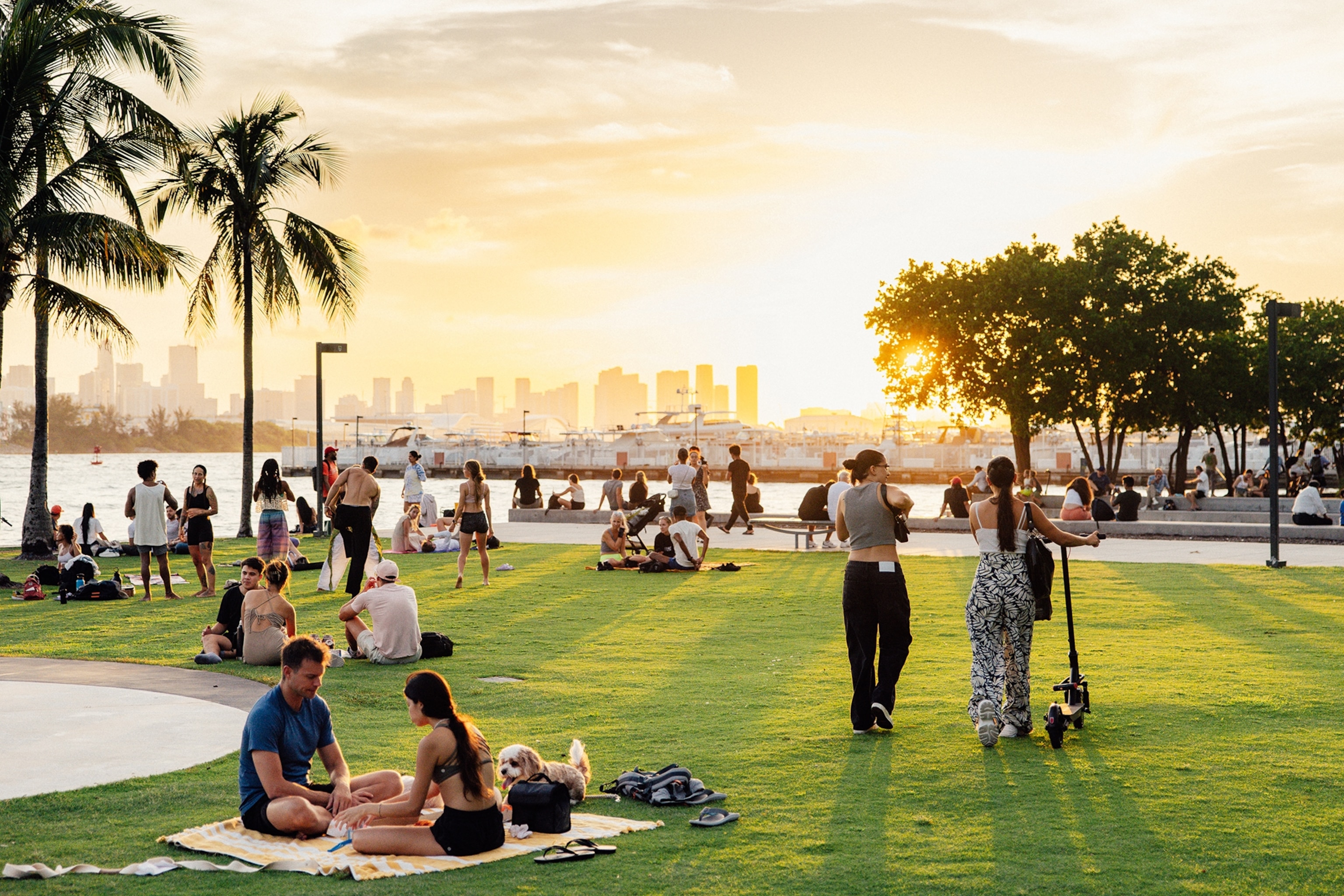 People sat on grass in a park overlooking a city landscape while the sun sets