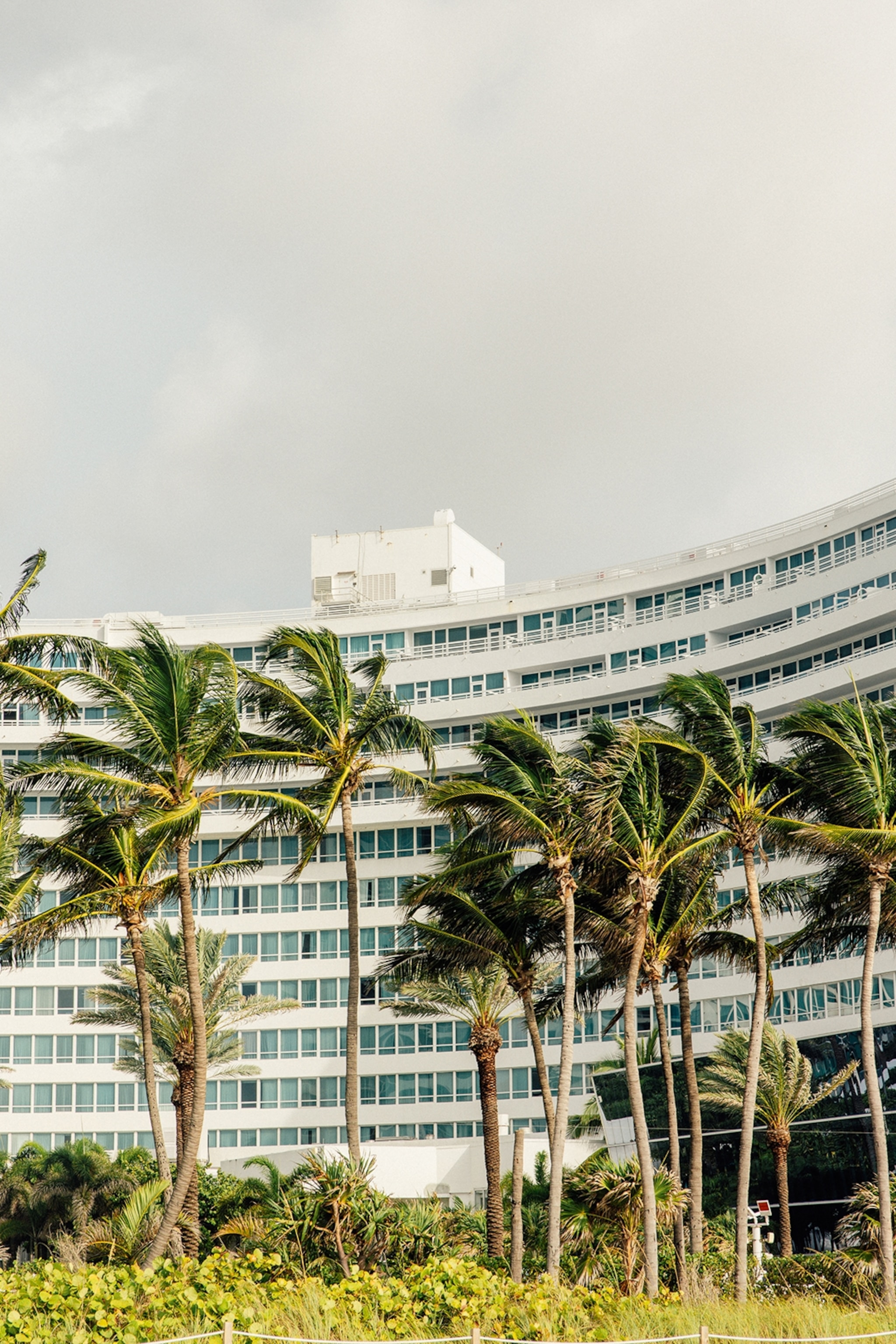 White curved building exterior with blue windows and balconies, with palm trees in the foreground