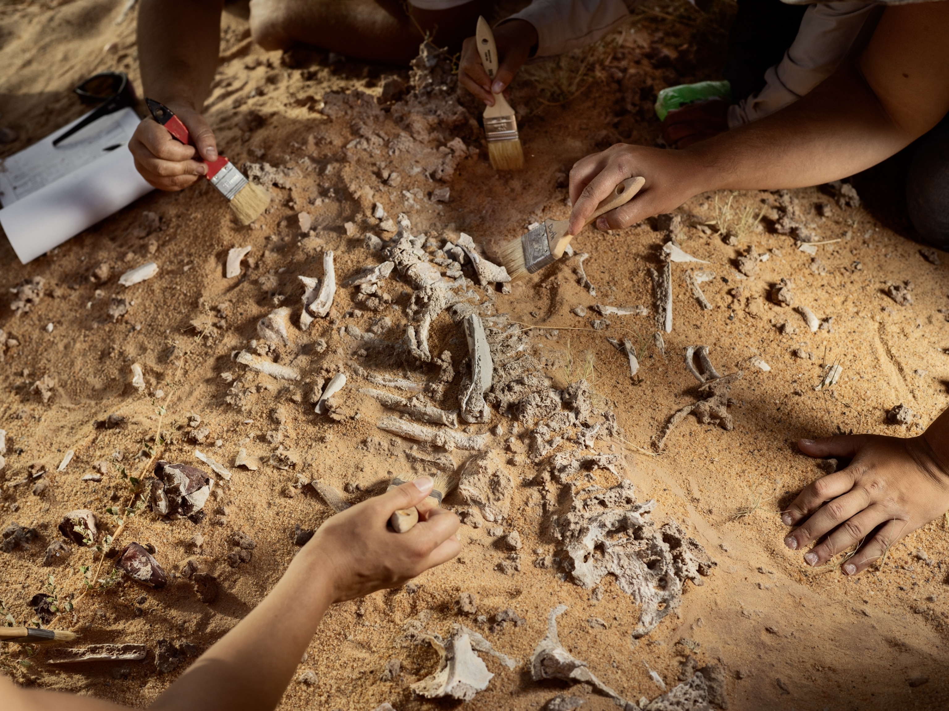 pile of broken bones on the sand with hands reaching on