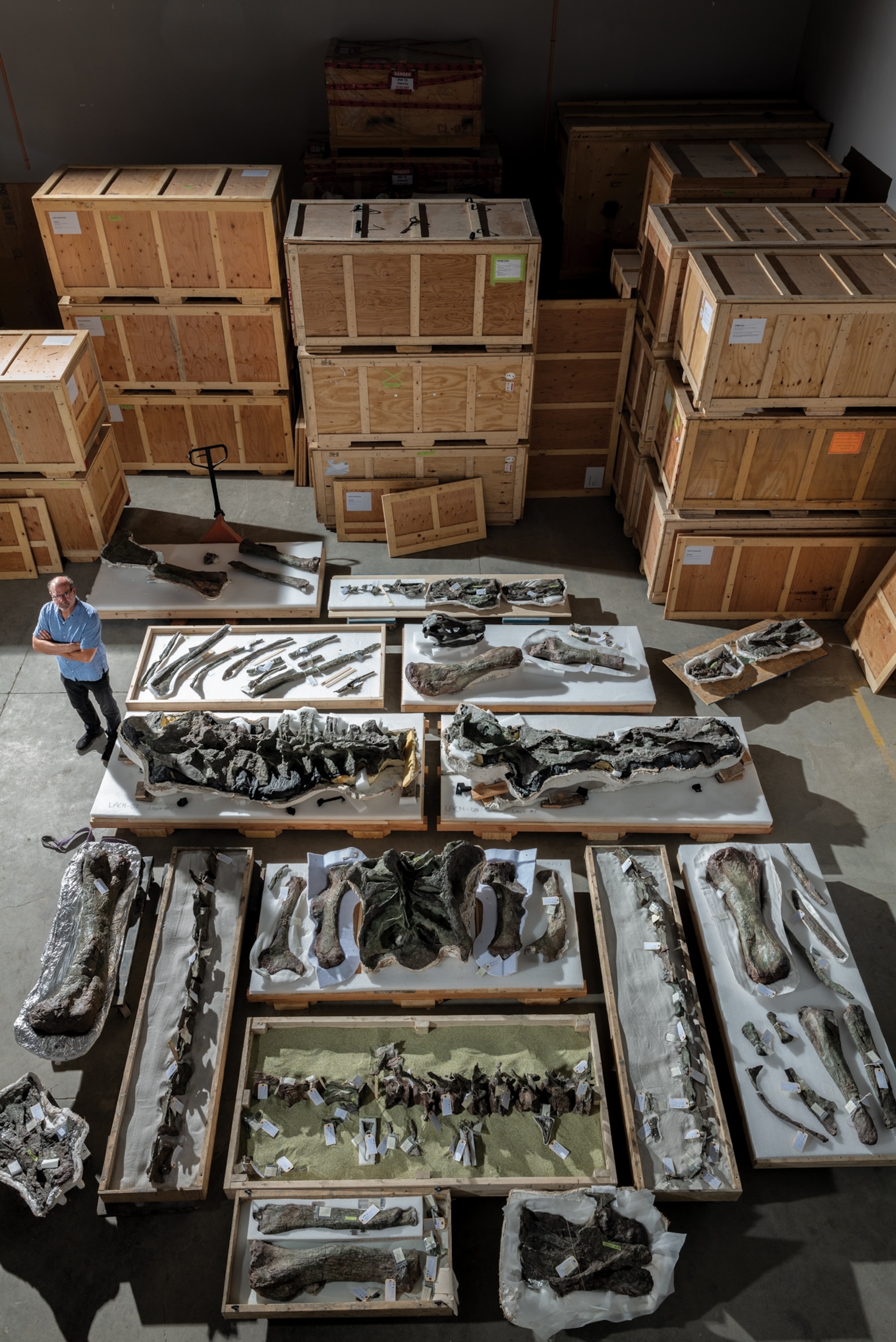 Trucked from L.A. to Research Casting International (RCI) in Trenton, Ontario (left), the bones were form-fitted with metal armatures handcrafted by Carm Espinal and colleagues (above right and left). Bones distorted by eons underground were scanned and 3D printed to make accurate substitutes (top left). Here Patricia Aitkenhead (top right) paints the replicas to match the dinosaur’s bones.