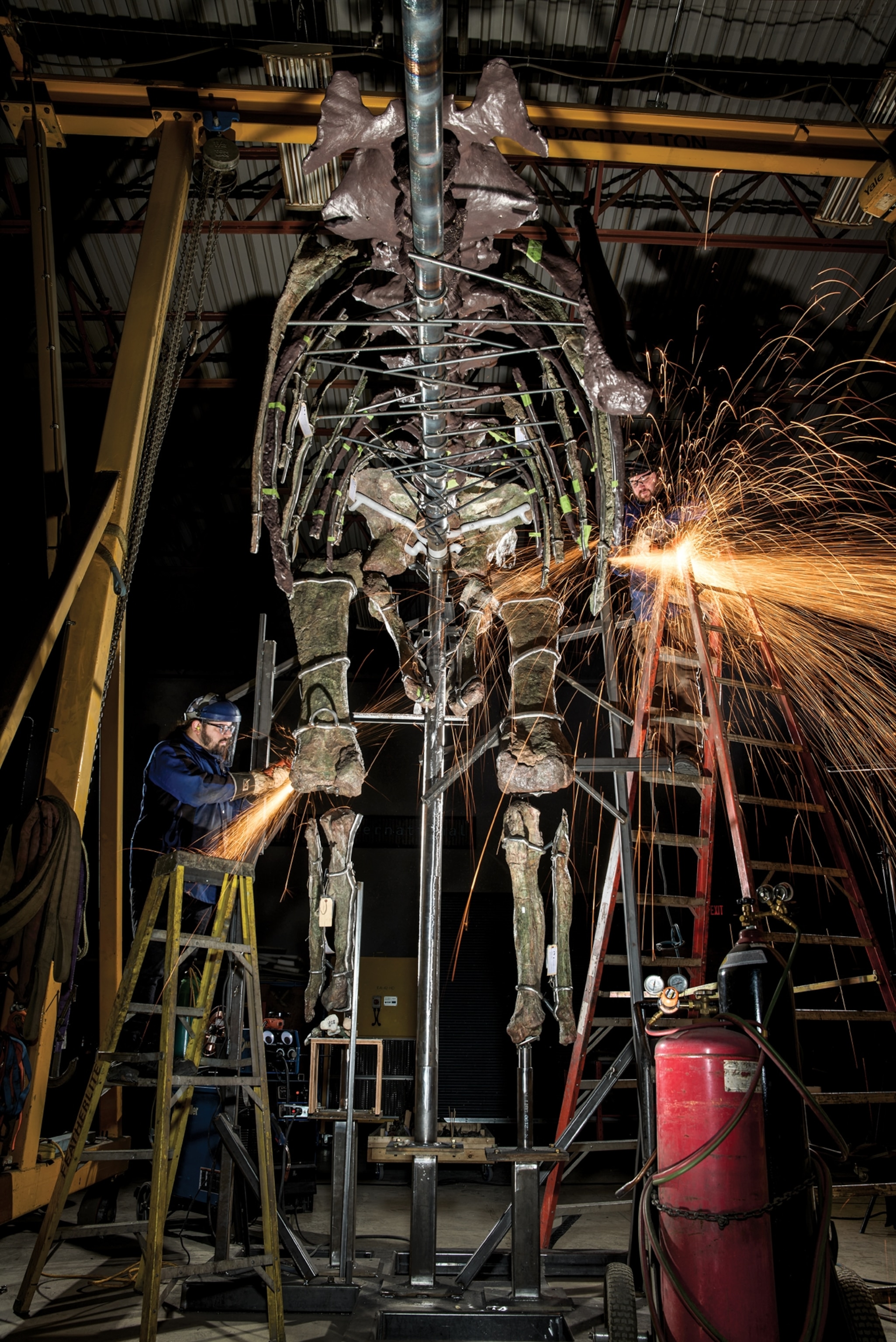 Two men standing on ladders assemble a steel framework to a reconstructed dinosaur skeleton as bright orange sparks fly through the air.