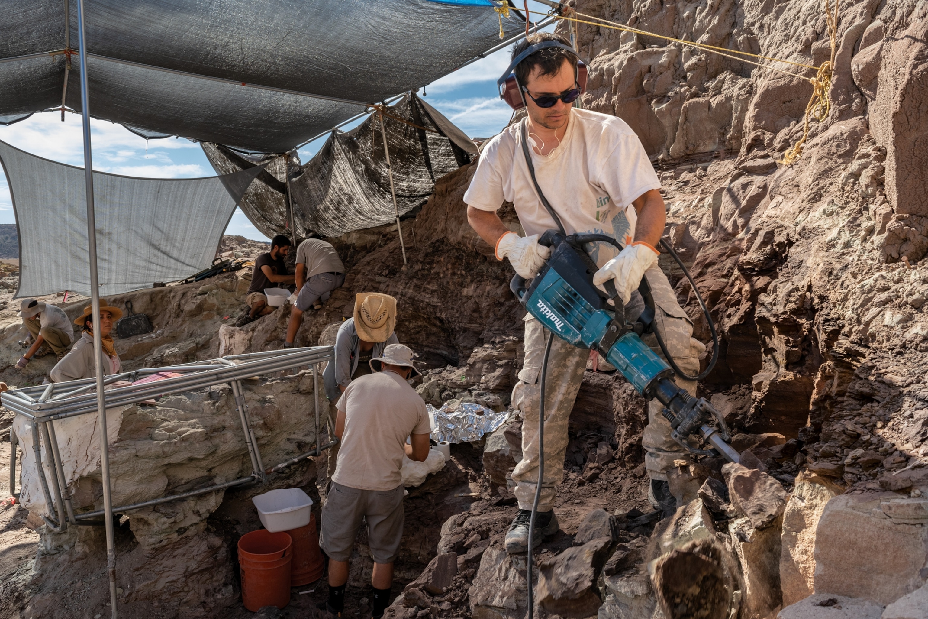 A team spent 10 years unearthing a dinosaur from its rocky resting place in southern Utah. Tormented by gnats during the first year of excavation, the workers nicknamed the dinosaur Gnatalie.